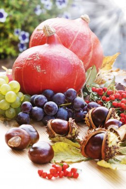 © J.Mühlbauer exclus.-fotolia.com