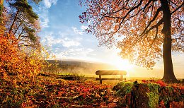 © Smileus - stock.adobe.com
